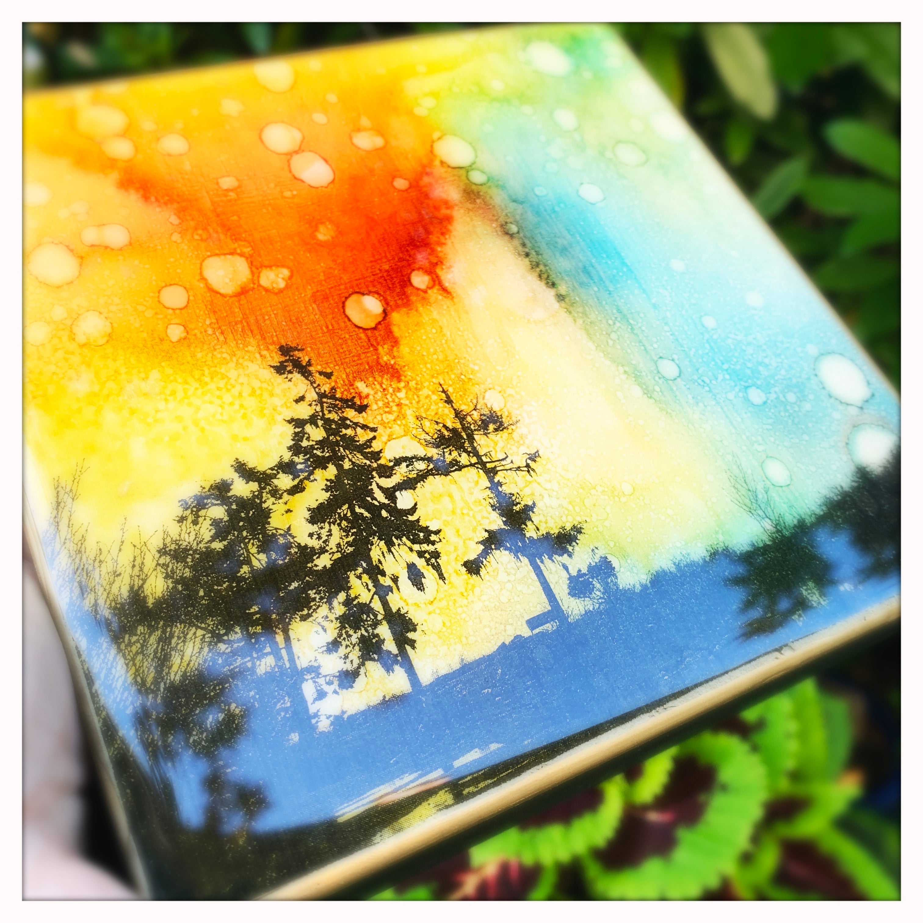 6 x 6 inches - Trees of Sooke, BC
