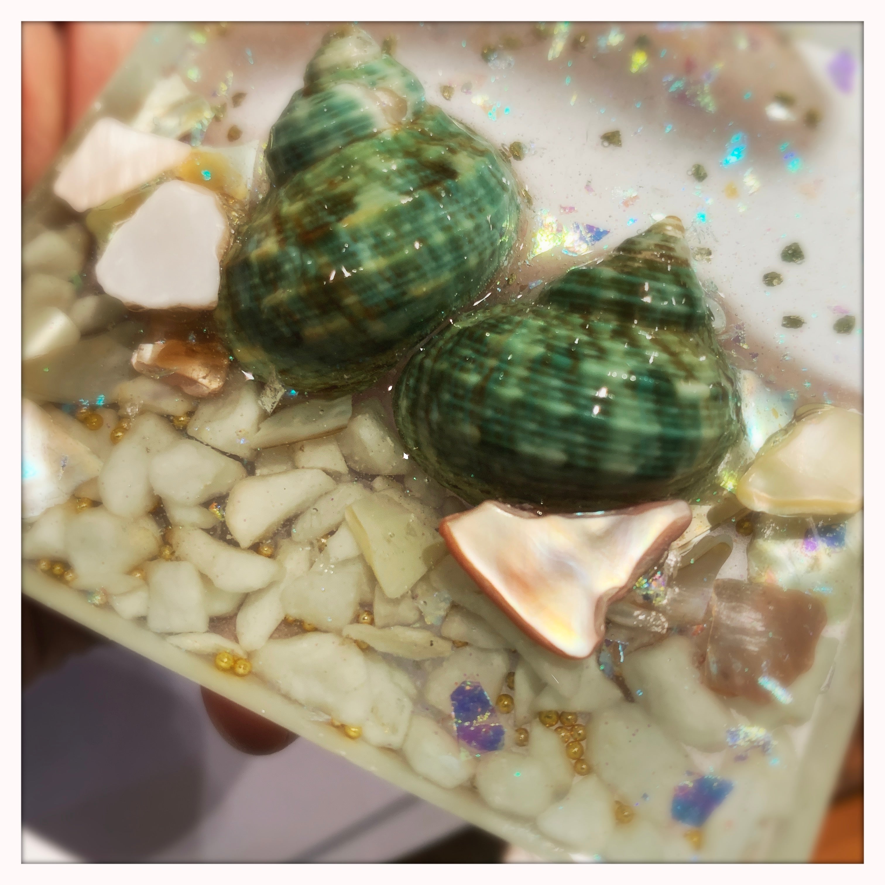 Seashell Ornament - Square - Green Shells