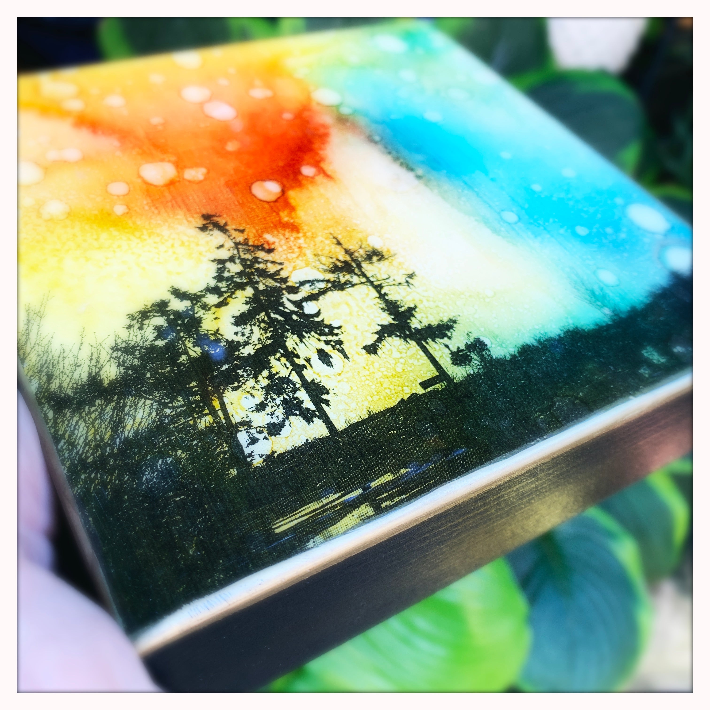 6 x 6 inches - Trees of Sooke, BC