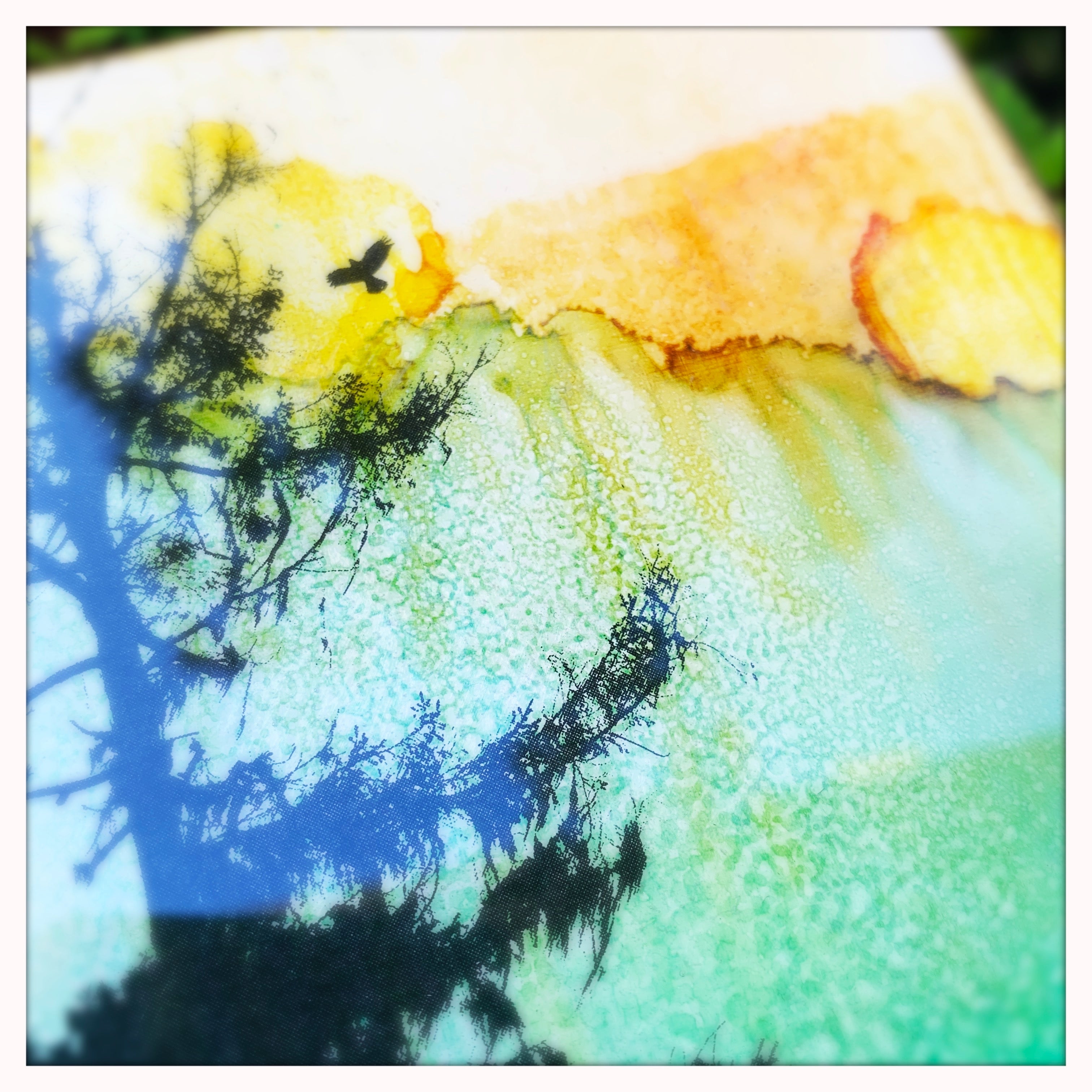 6 x 6 inches - Whiffen Spit