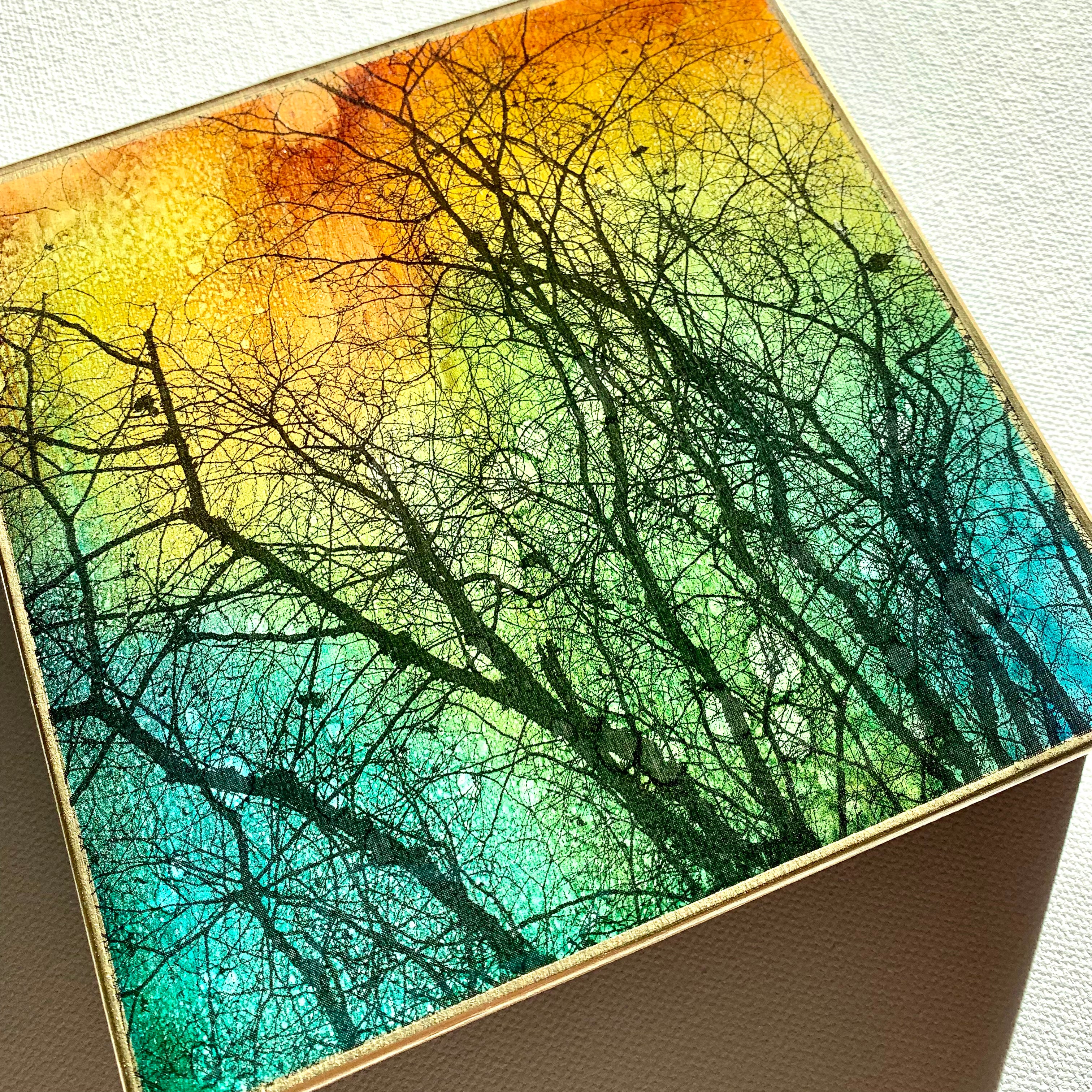 6 x 6 inches -  Branches lll