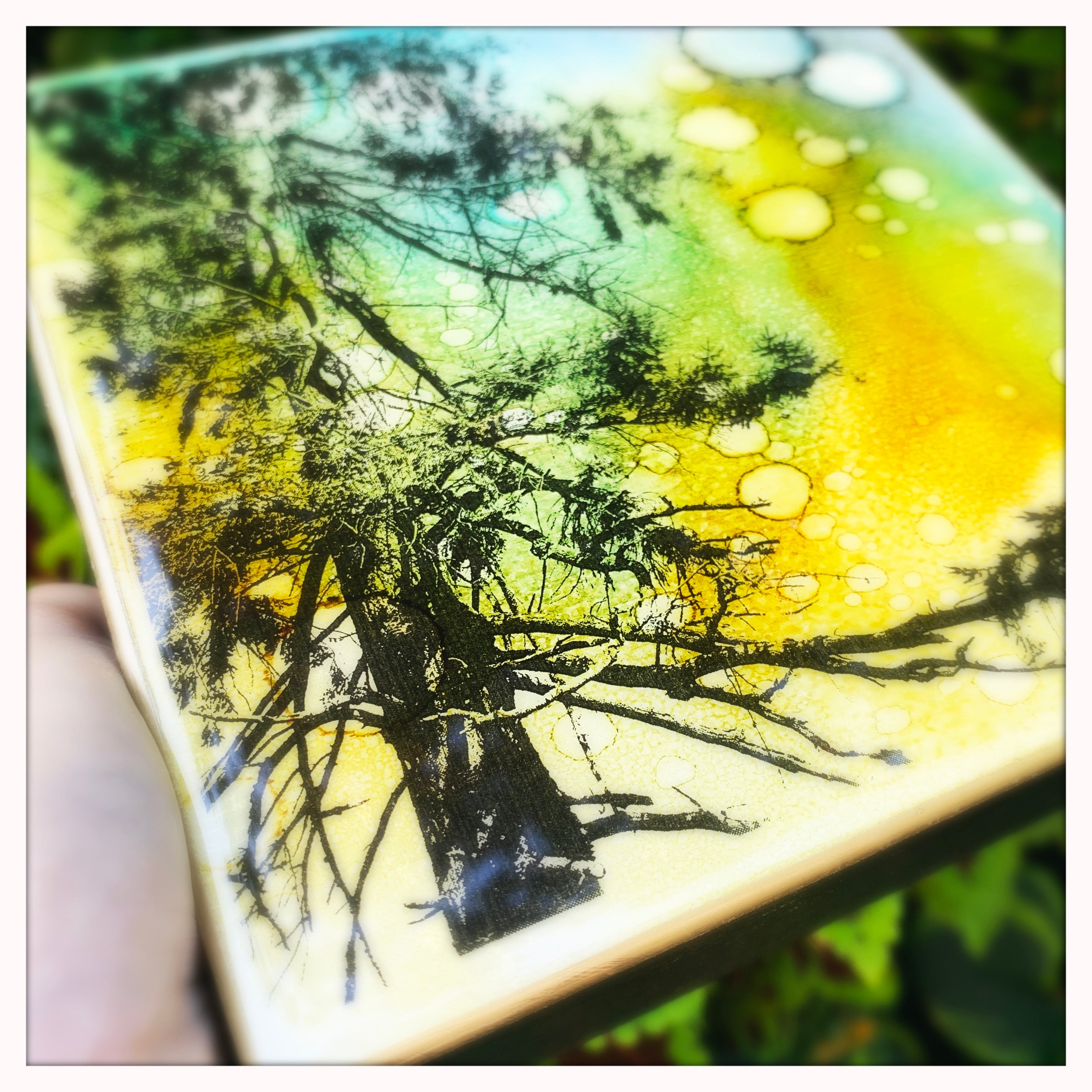 6 x 6 inches - Parksville