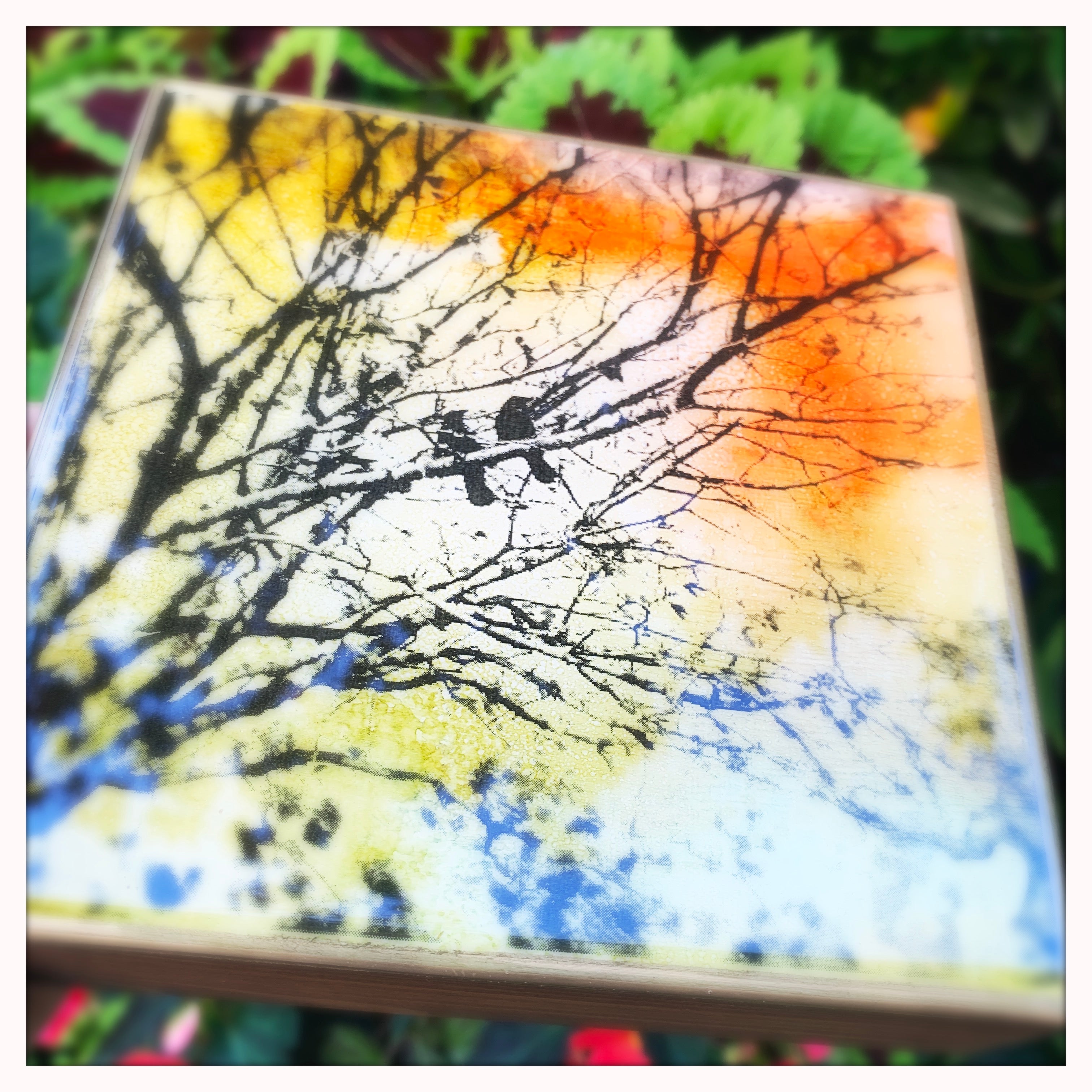 6 x 6 inches - 2 Birds in a Tree - Ambleside