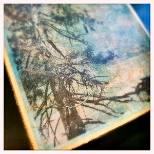 Spirit Tree I - 5x5 inch