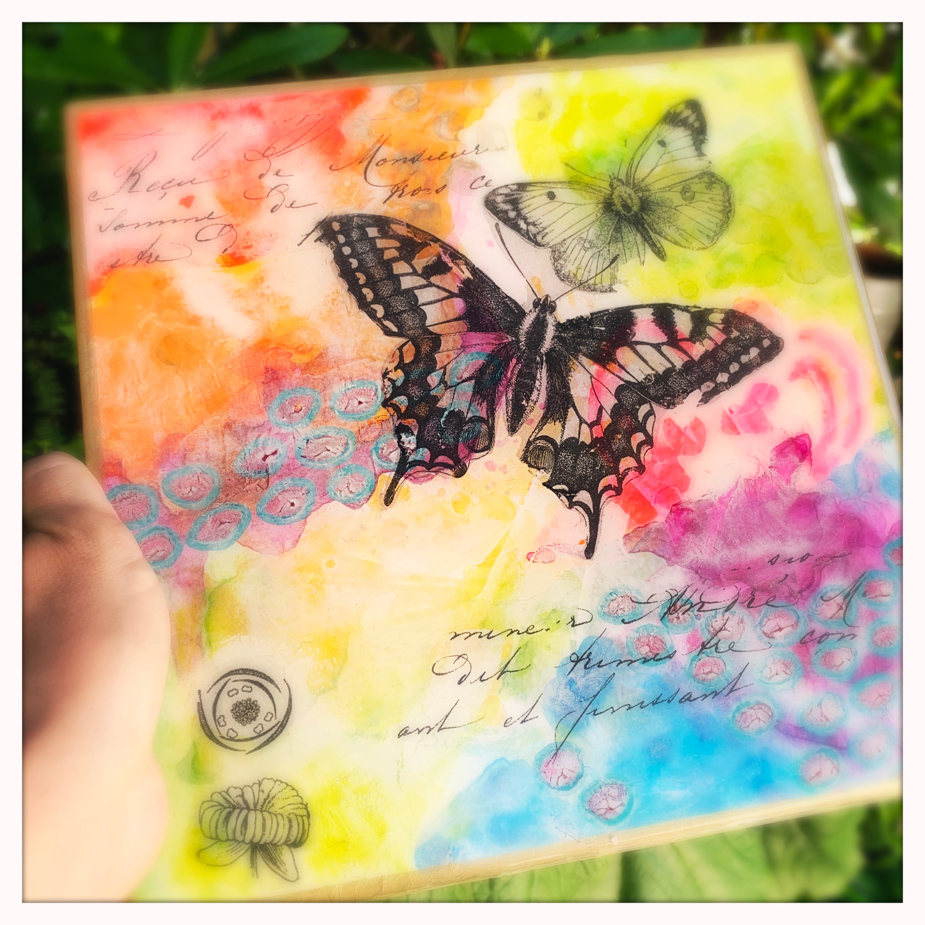 Garden Series II - 10 x 10 inches