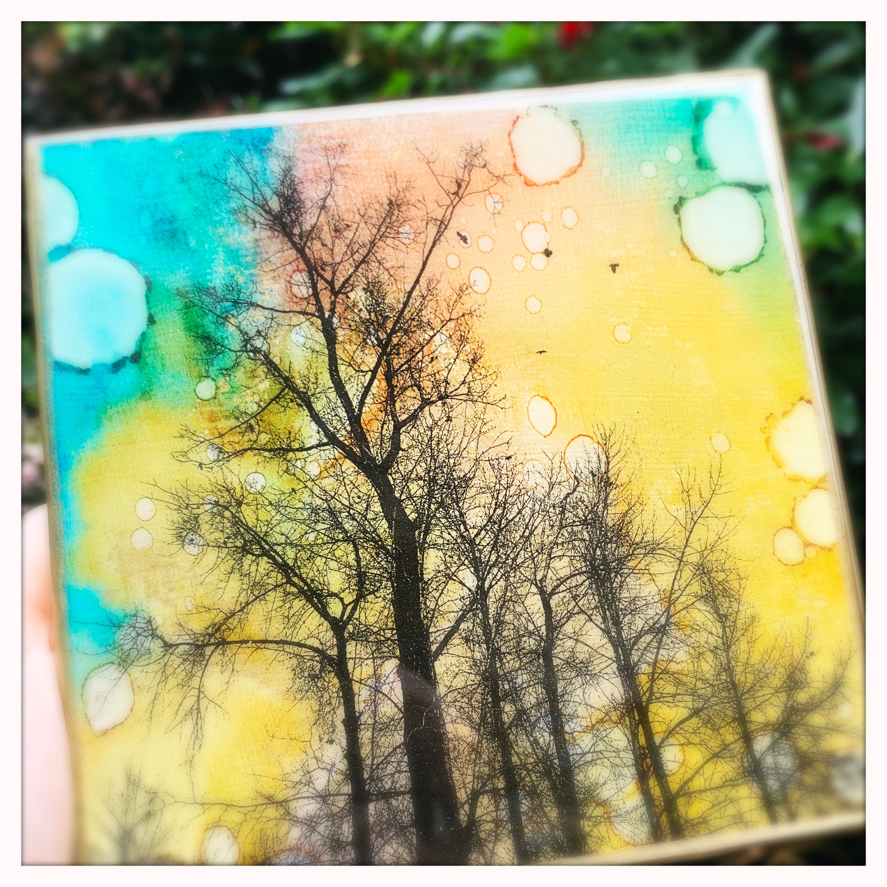 6 x 6 inches - Trees of Capilano